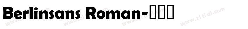 Berlinsans Roman字体转换